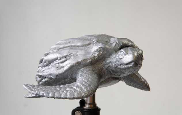 The infinite turtle on a tripod stand